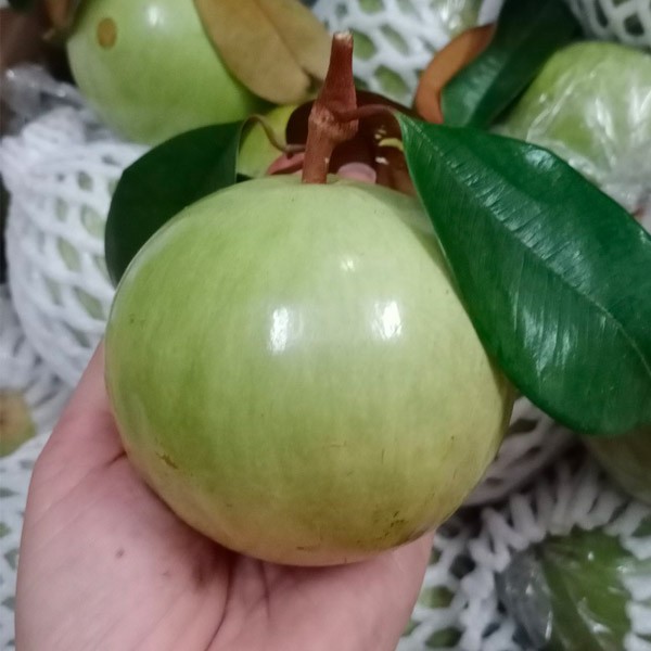 (HỘ KINH DOANH) VÕ VĂN TOÀN