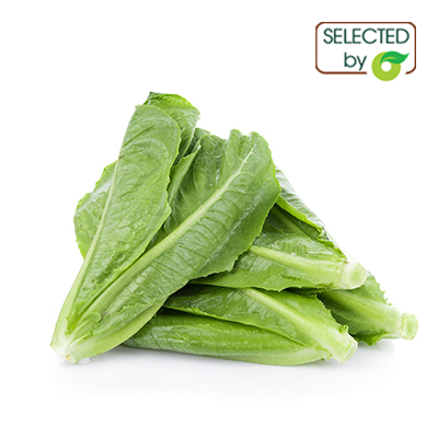 (HỘ KINH DOANH) VÕ VĂN TOÀN