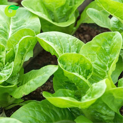 (HỘ KINH DOANH) VÕ VĂN TOÀN