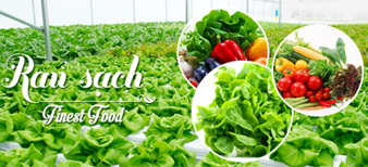 (HỘ KINH DOANH) VÕ VĂN TOÀN